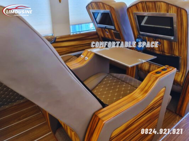 Limousine van 10 seats for rent in Ho Chi Minh 1 1