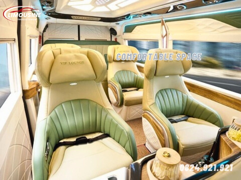 Limousine van 10 seats for rent in Ho Chi Minh 3