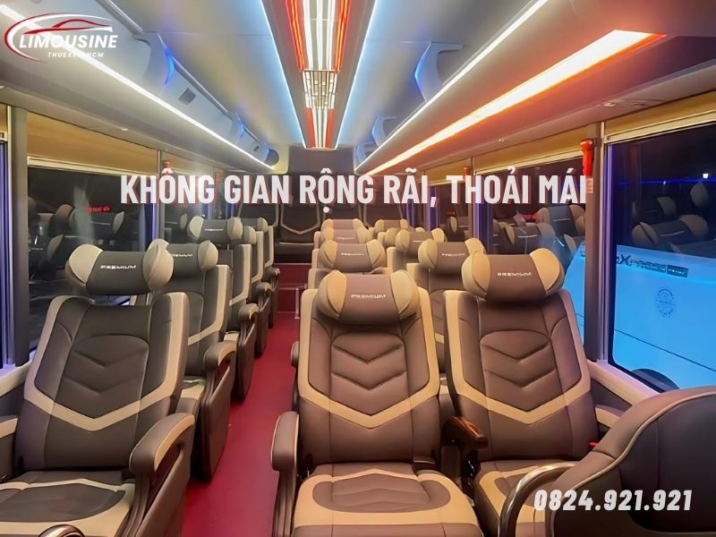 Thuê xe Limousine 16 chỗ tại Hồ Chí Minh (3)