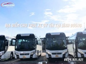 thuê xe Limousine 29 chỗ tại Bình Dương