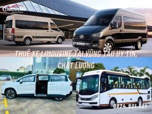 thuê xe limousine 45 chỗ tại vũng tàu