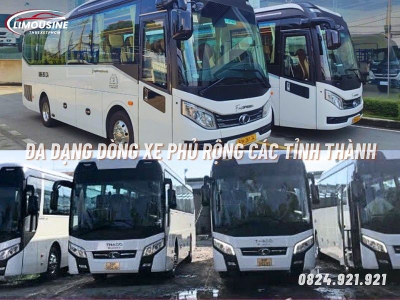 Thuê xe Limousine 9 chỗ tại Hồ Chí Minh