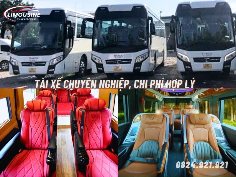 thuê xe limousine 9 chỗ tại quận 11