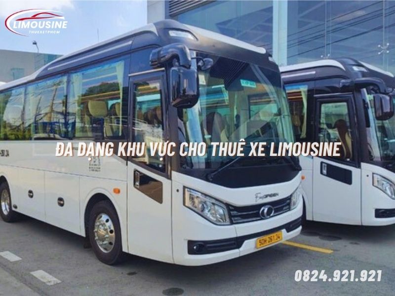 thuê xe limousine 9 chỗ tại tân an