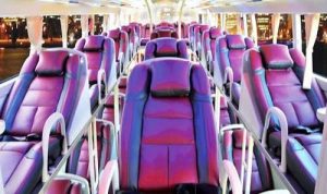 Thuê Xe Limousine 29